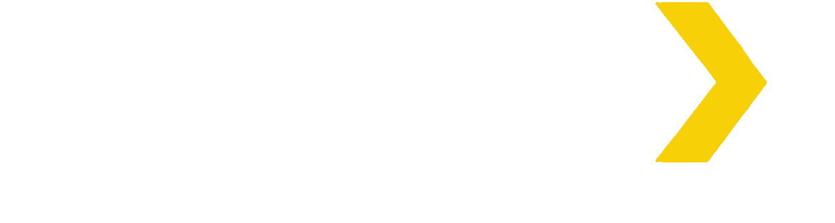 ZYNEX Soluciones Tecnológicas